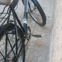 دوچرخه ۲۶|دوچرخه، اسکیت، اسکوتر|قم, تعویض پلاک|دیوار