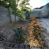 فروش فوری خونه ویلایی۳۳۰مترزمین خودم مالکم|فروش خانه و ویلا|دابودشت, |دیوار