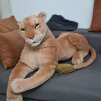 عروسک  ببر بزرگ|مجسمه، تندیس، ماکت|همدان, |دیوار