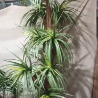 گل مصنوعی واسه دکور خانه، اتاق|گل مصنوعی|آستانه اشرفیه, |دیوار