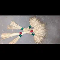 گل گندم امسال با مقطوع