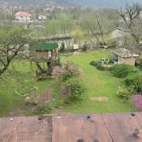 جذب نیرو اقا وخانم اداری و خدمات برای هتل رویال