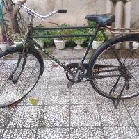 فونیکس سالم