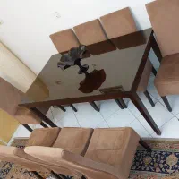 میز ناهار خوری|میز و صندلی غذاخوری|تهران, سازمان برنامه جنوبی|دیوار