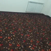 موکت در حد نو|موکت|زاهدان, |دیوار