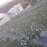زمین-250-متری-جواهردشت