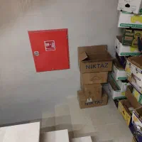 کارتن موز سالم|ابزارآلات|سنندج, |دیوار