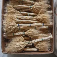 سنل و خوشه گندم