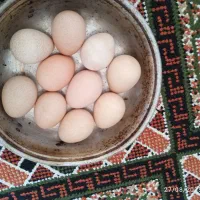 تخم مرغ چینی