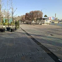 زمین سند دار