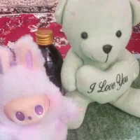 دوتا عروسک یکی خرسی و دیگری لبوبو|اسباب‌بازی بچه|زابل, |دیوار