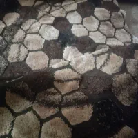 فرش 6متری فانتزی