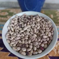 لوبیا چیتی امسالی