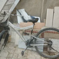 دو عدد دوچرخه