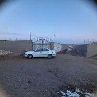 دامداری