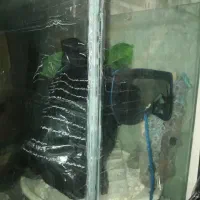 آکواریوم  با وسایل مربوطه