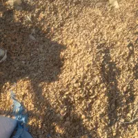 پوسته بادام خام