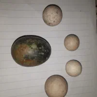 سنگ قیمت|جواهرات|اشتهارد, |دیوار