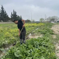 زمین 250 متری|فروش زمین و ملک کلنگی|گرگان, |دیوار