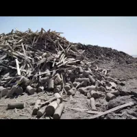 زغال کبابی|عمده‌فروشی|قرچک, داوود آباد|دیوار