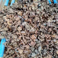 لوله داربست20%بالاترازدیگران تمام نقاط خریدوفروش|عمده‌فروشی|تهران, دانشگاه شریف|دیوار