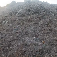 کود، کمپوست قارچ خاک پوششی