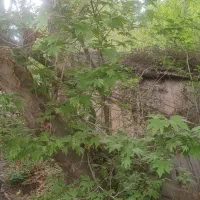 فروش زمین جهت ویلاسازی  معاوضه با ملک یا خودرو