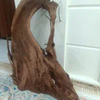 چوب آبنوس بسیار زیبا|ماهی|کرج, شاهین‌ویلا|دیوار