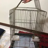 قفس کاسکویی بزرگ