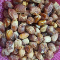 قصب و خرمای بوشهر|خوردنی و آشامیدنی|تهران, بوستان ولایت|دیوار