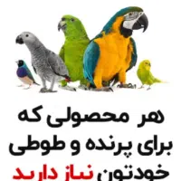 پت شاپ علی بابا فروش انواع ملزومات پرندگان زینتی