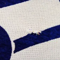 روفرشی سالم نو|روفرشی|اسدآباد, |دیوار