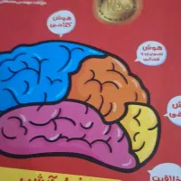 پایه پنجم وششم