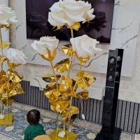 سه شاخه بدون اباژور