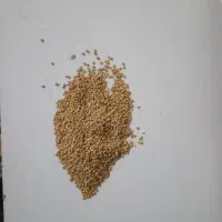 ارزن|خوردنی و آشامیدنی|ارس, |دیوار