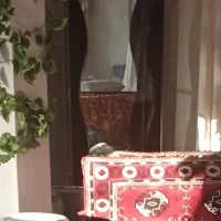 بوفه چوب گردویی
