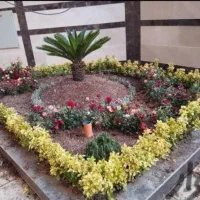 خدمات باغبانی گلکاری باغچه کاری تعویض خاک گلدون گل|خدمات باغبانی و درختکاری|تهران, شهرک غرب|دیوار