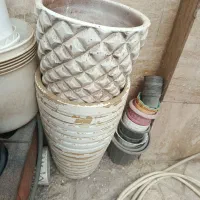 گلدان الوورا و یوگا باقیمت مناسب|گل و گیاه طبیعی|لواسان, |دیوار