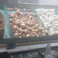 میز وپالت میوه فروشی در حدنو ورق ضخیم|فروشگاه و مغازه|شاهدشهر, |دیوار