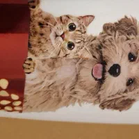 لوازم کامل سگ