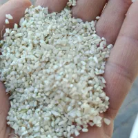 خورده برنج تمیزبدون سنگ