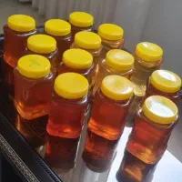 فروش عسل صددرصد طبیعی و جنگلی