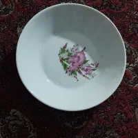 ظروف چینی