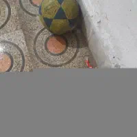 ۲عددتوپ