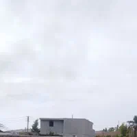 پلاستر سیمان