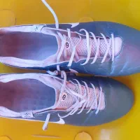 کفش|تجهیزات ورزشی|سوسنگرد, |دیوار