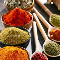 آموزش وکار به صورت آنلاین برای بانوان