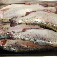 انواع ماهی قزل سالمون تازه شکم پر طعم دار شده آوات|خوردنی و آشامیدنی|اصفهان, گلزار|دیوار