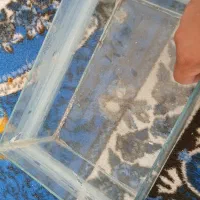 آکواریوم|ماهی|اصفهان, قهجاورستان|دیوار
