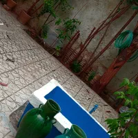 منزل مبله قصرالدشت|اجارهٔ کوتاهمدت آپارتمان و سوئیت|شیراز, میرزاکوچک خان|دیوار